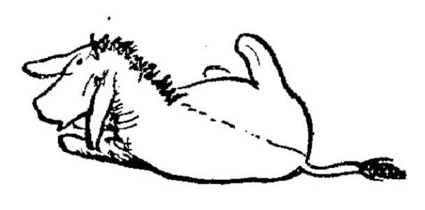 E. H. Shepard illustration of Eeyore from Chapter VI
