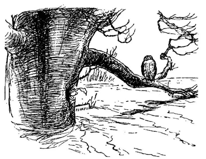 E. H. Shepard illustration of Piglet with Christopher Robin and Winnie-the-Pooh from Chapter IX